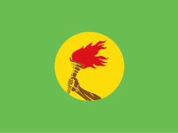 Flag for country code ZR